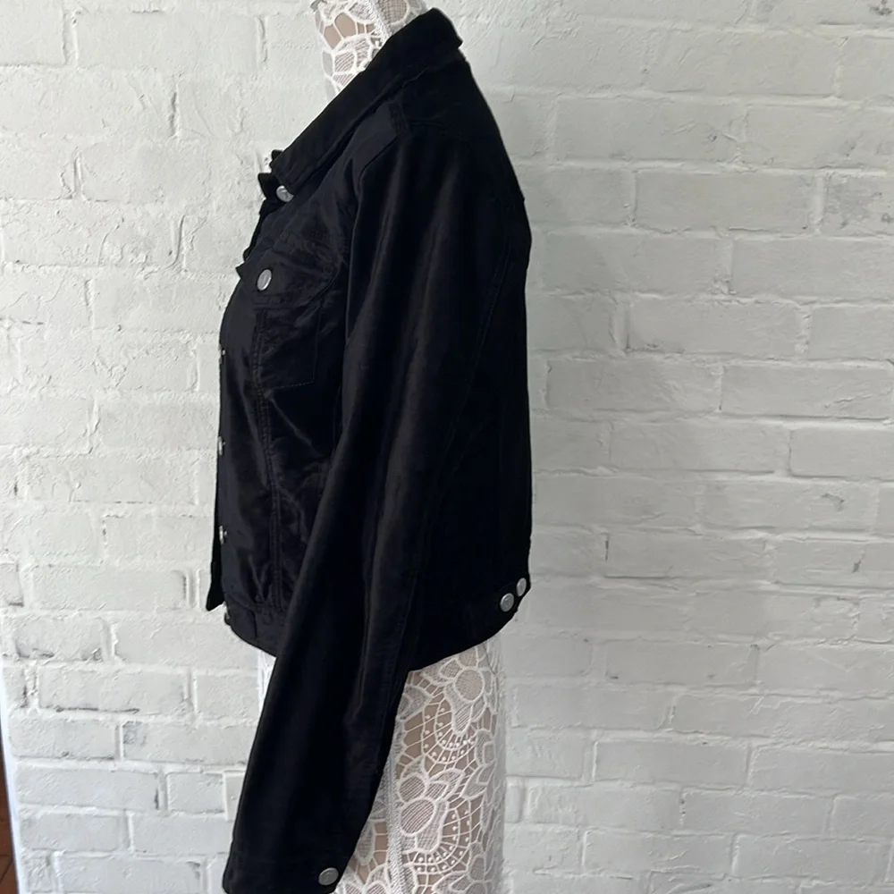 Pilcro and the Letterpress Velour Jacket - Picture 5 of 7